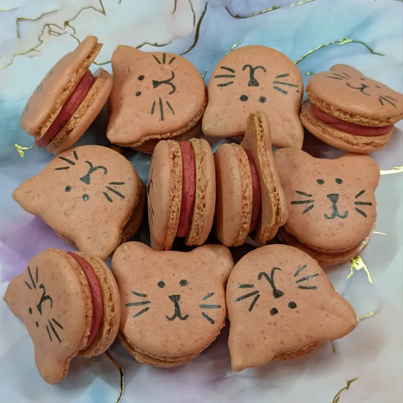 Strawberry Kitty Macaron