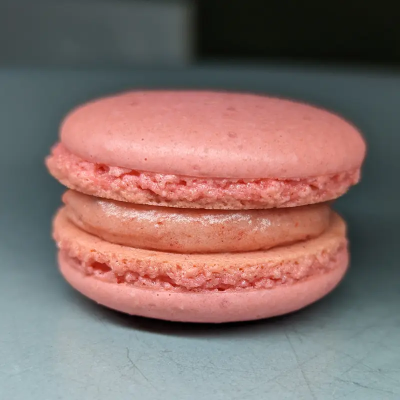 Strawberry Macaron